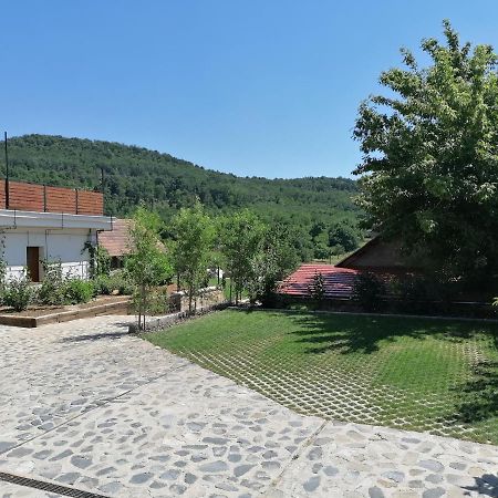 Szigligeti Mandula Kert Vendégház Esterno foto
